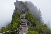 世界举重青年联赛选手国际流动交流制度完善，国际举重联合会