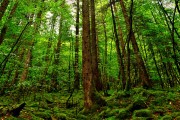 世界举重青年联赛国际流动教练计划签约，世界举重联合会官网